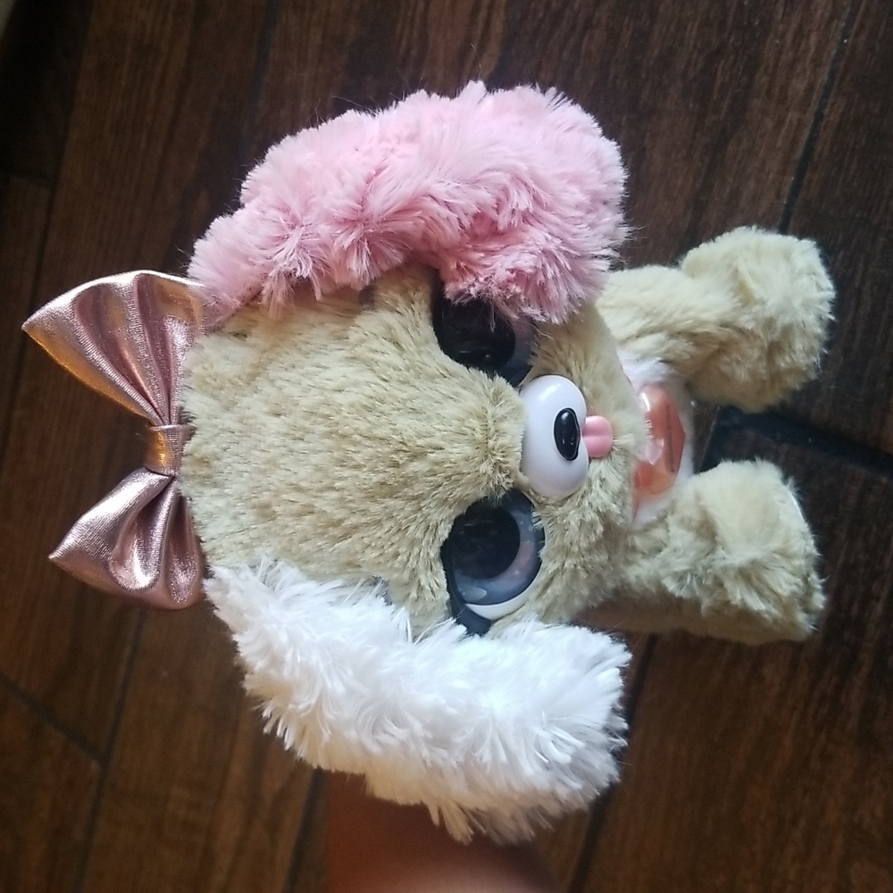 Present pet princess toy puppy